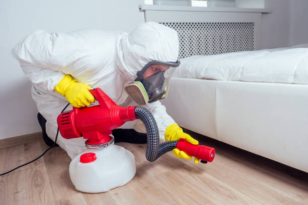 Best Wasp Removal Services  in Macungie, PA
