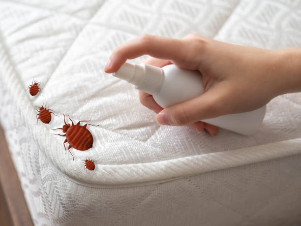 Best Pest Prevention Services  in Macungie, PA