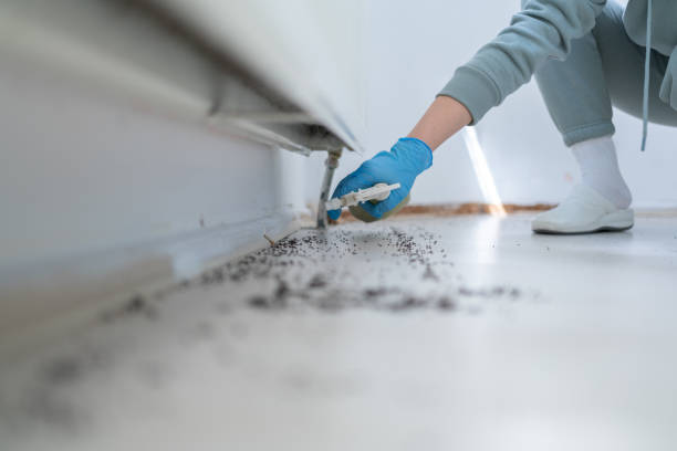 Best Flea Control Services  in Macungie, PA